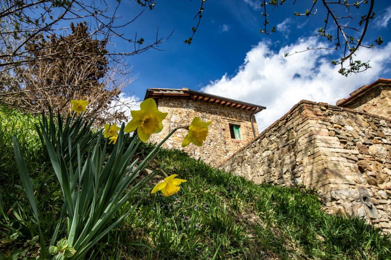 Campora House Hotel Tavarnelle Val di Pesa Exterior photo