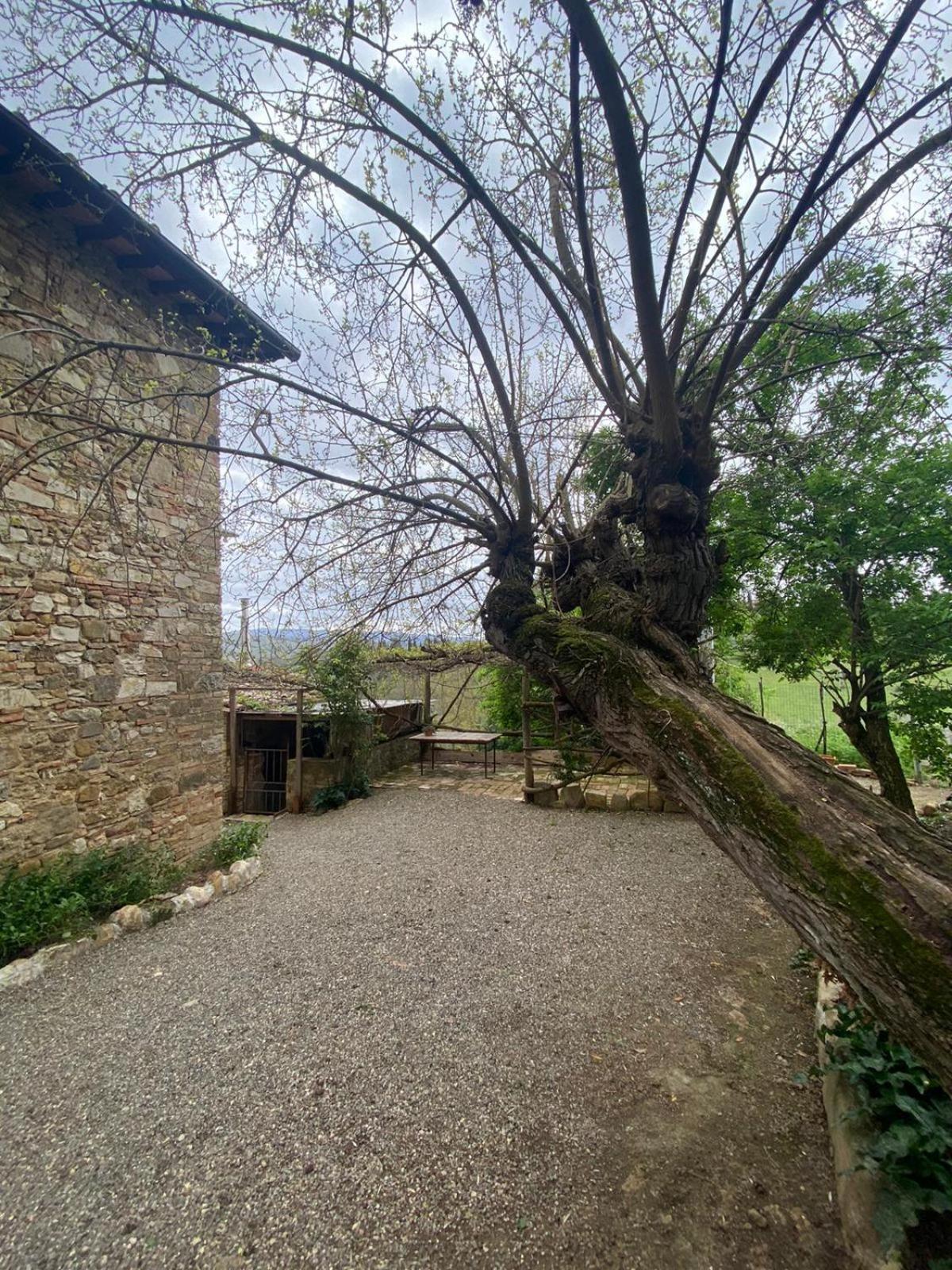 Campora House Hotel Tavarnelle Val di Pesa Exterior photo